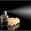 عطر و ادکلن‌های خطرناک/لیست بادی‌اسپلش‌های غیرمجاز