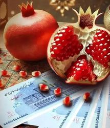 واریز ۸۸۱ هزار تومان  سود سهام عدالت در شب یلدا