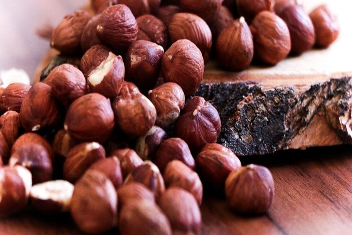 معرفی خواص فندق