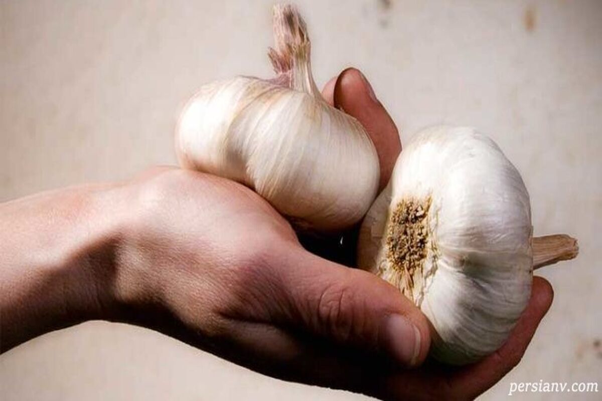 بوی سیر دهان را به سادگی محو کنید!