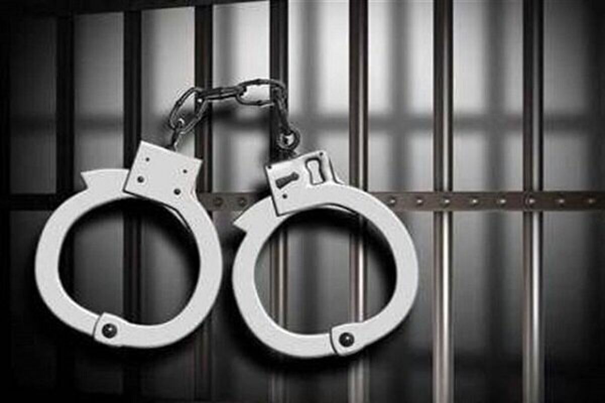 دستگیری گرداننده صفحه مدلینگ