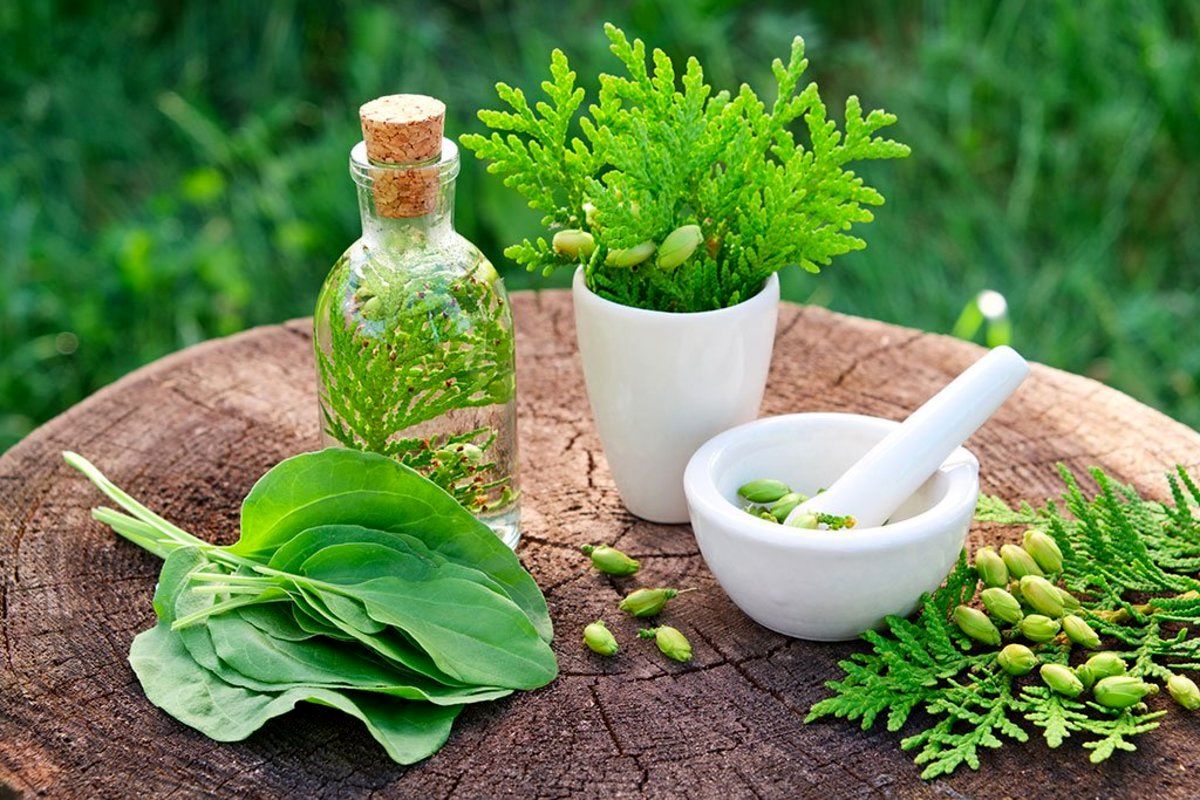 مرگ آور بودن ترکیب این داروی گیاهی و شیمیایی