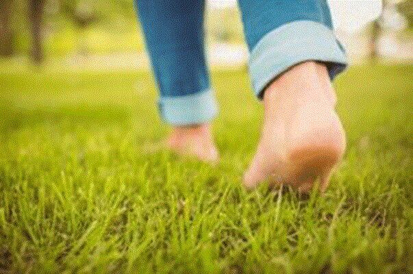 معجزه پیاده‌روی در طبیعت