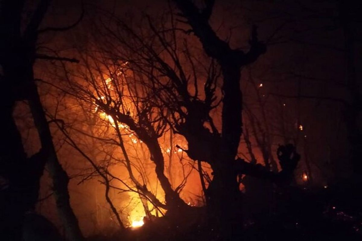 آتش‌سوزی در عرصه‌های جنگلی بهشهر