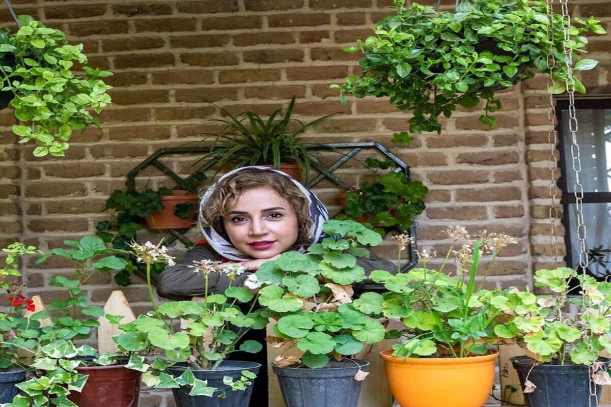 دو سریال محبوب و پرتماشاگر در تلویزیون