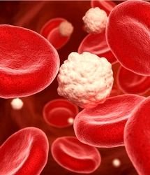 چربی خون را با این راه های ساده کنترل کنید