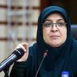 توضیحات سخنگوی دولت درخصوص فعالیت‌ نانوایی‌ها