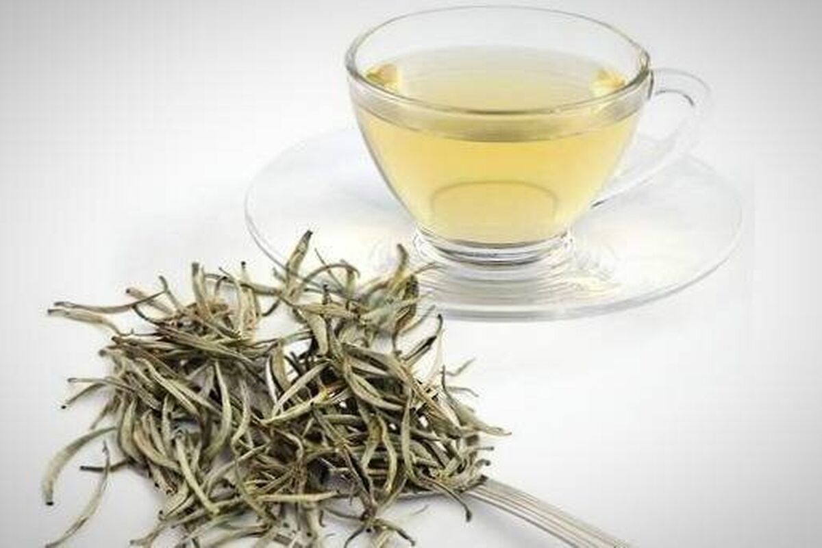 آشنایی با خواص شگفت‌انگیز چای سفید