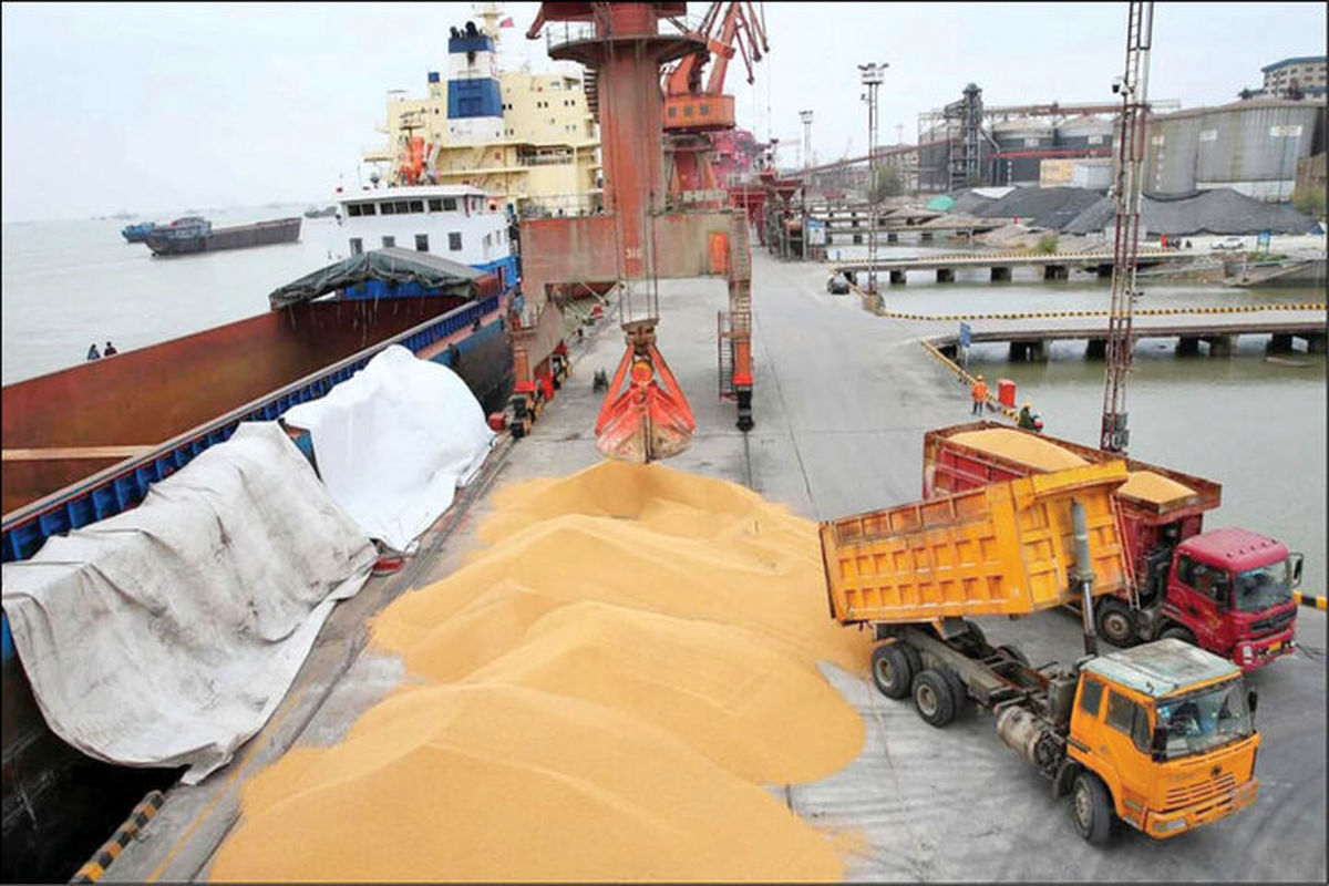 واردات بیش از ۵ میلیارد دلار گندم و روغن خام