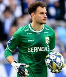 یک گُلر دورگه جانشین بیرانوند در تیم ملی می‌شود