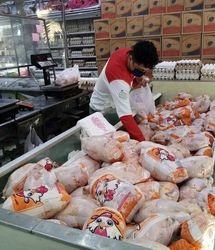 مرغ ۴۰۰ هزار تومانی در راه است