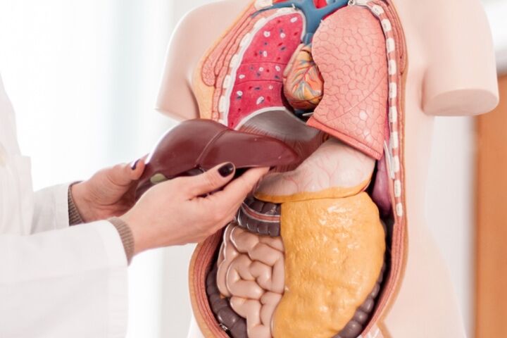 کبد چرب دارید؟ این پنج توصیه را جدی بگیرید