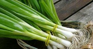 تره را دیابتی ها بخورند یا نه؟