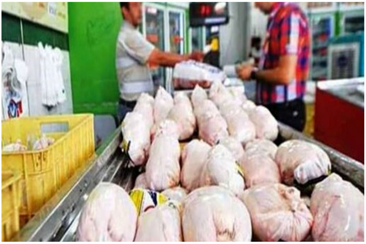 قیمت جدید مرغ در بازار