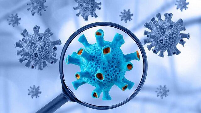 آمار جهانی کرونا؛ ابتلای بیش از ۶۴۰ میلیون نفر تاکنون