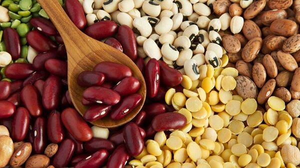 معرفی مواد غذایی دارای پروتئین گیاهی