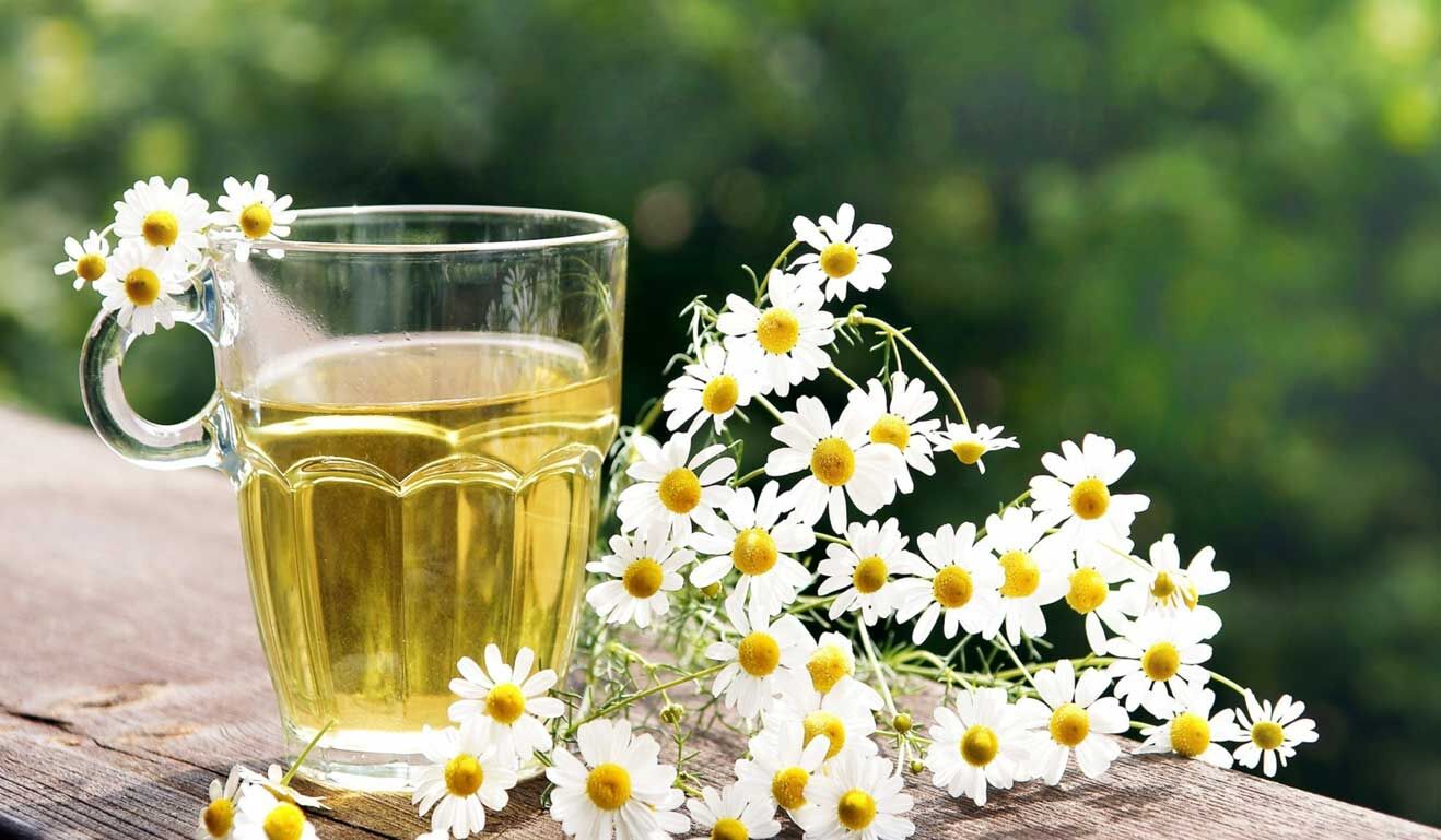 کیفیت خواب بهتر با استفاده از گیاه دارویی بابونه