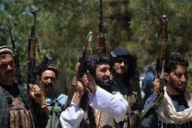 رمالان تحت تعقیب قرار می گیرند