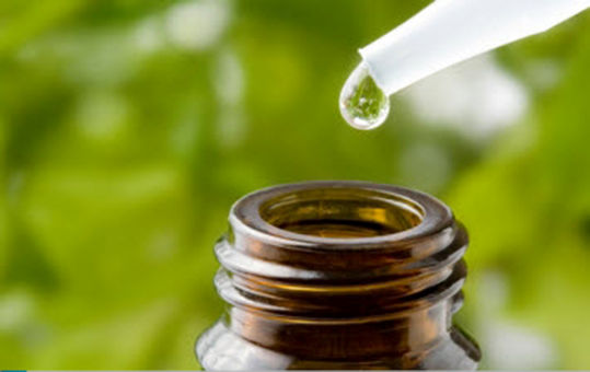 این گیاه جایگزین بسیار خوب برای آنتی بیوتیک هاست
