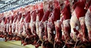 قیمت گوشت قرمز امروز 4 بهمن1404