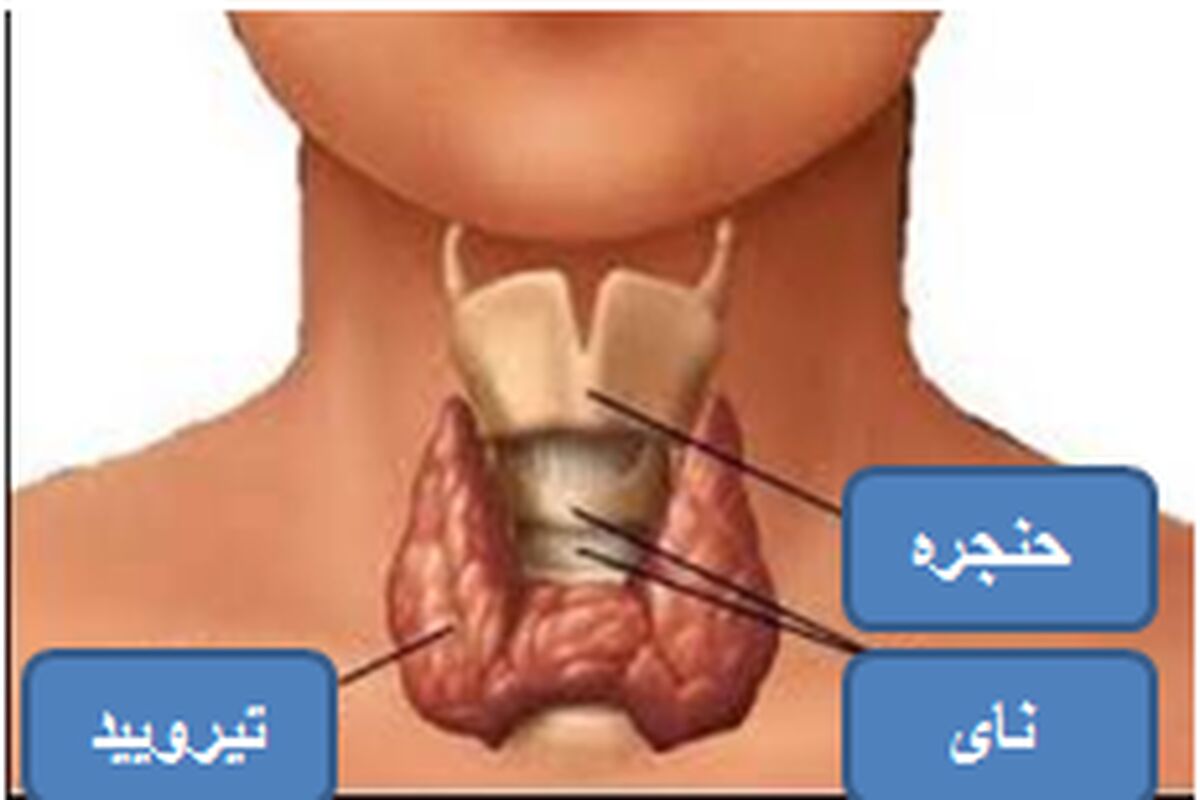 دلیل کم کاری تیروئید چیست؟