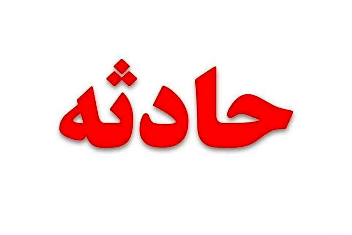 المیرا در حیاط خانه پدربزرگش ناپدید شد ! / تصویرش را شناسایی کنید