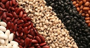 قیمت رسمی لوبیا اعلام شد 