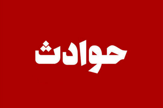 زن جوان وقتی متوجه تغییر مسیر ناگهانی ماشین شد با داد و فریاد از راننده خواست توقف کند/ راننده ناشنوا بود!