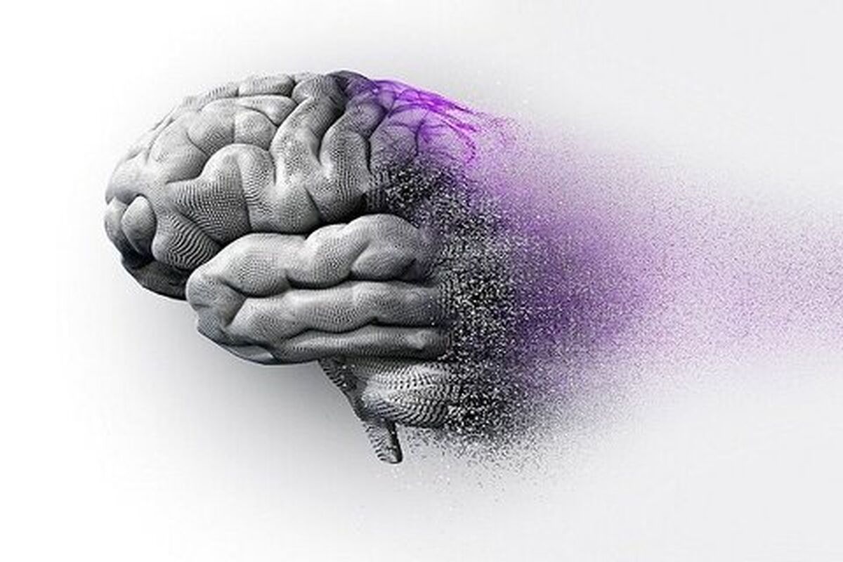 افزایش پلاک‌های مغزی با قرار گرفتن در معرض ذرات معلق